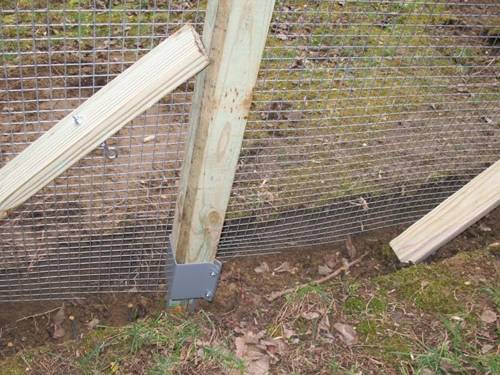 A gray post spikes are supporting the hardware cloths with wooden posts.
